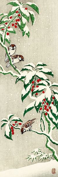 Sparrows on snowy berry bush