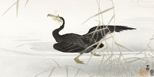Koson, Ohara 아티스트의 Japanese cormorant catching fish작품입니다.