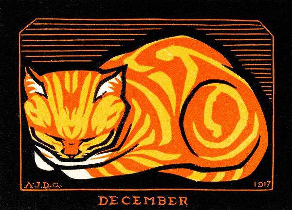 December Cat
