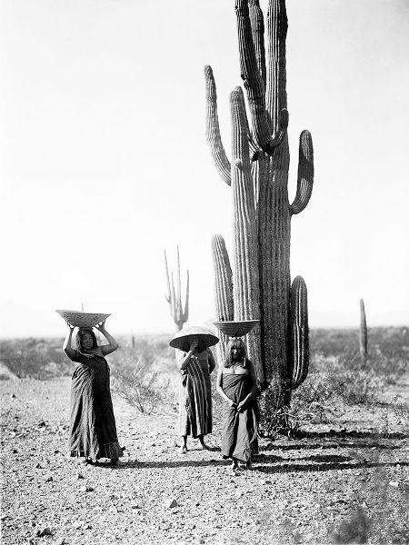 Saguaro gatherers, Maricopa, Arizona, ca. 1907