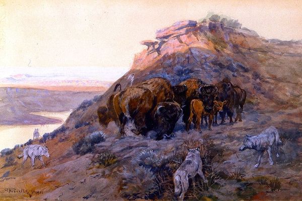 Buffalo Herd at Bay