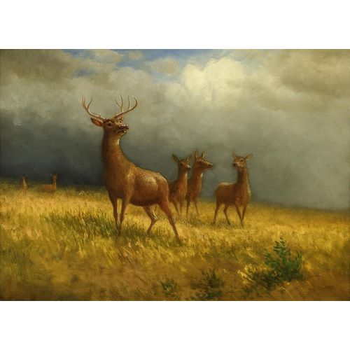 Three Deer and a Stag