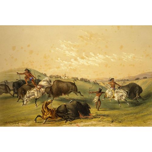 Buffalo Hunt, A Numerous Group