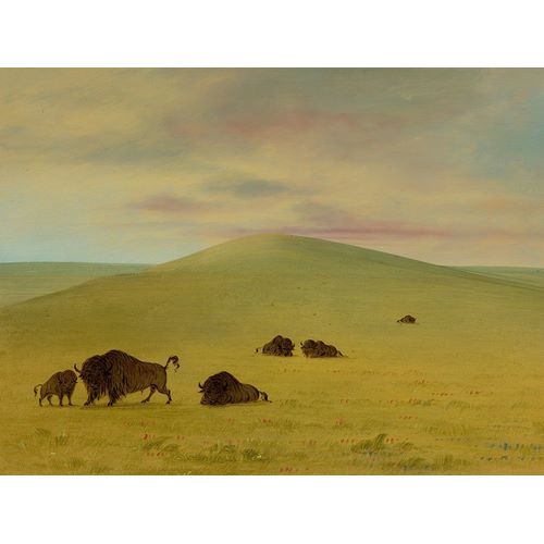 American Pasturage - Prairies of the Platte