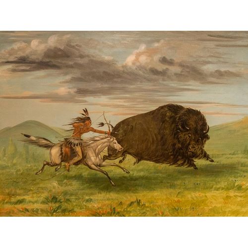 Indian Killing Buffalo with Bow and Arrow