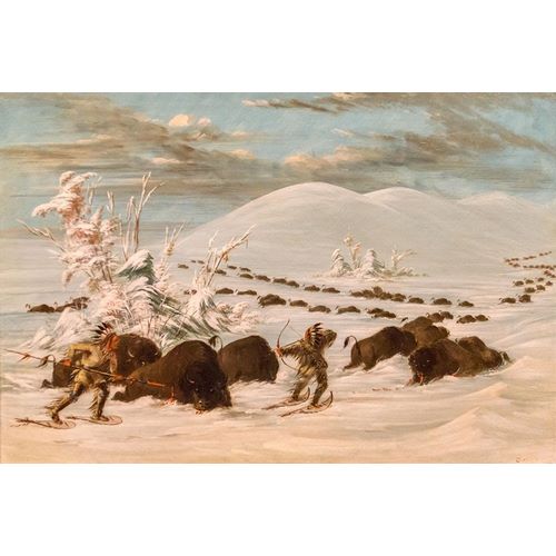 Winter Sport of Killing Buffalo