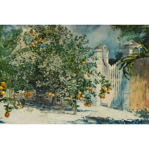 Orange trees and gate