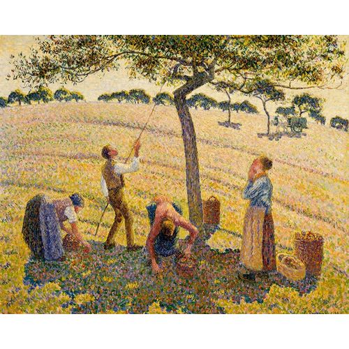 Apple harvest at Eragny