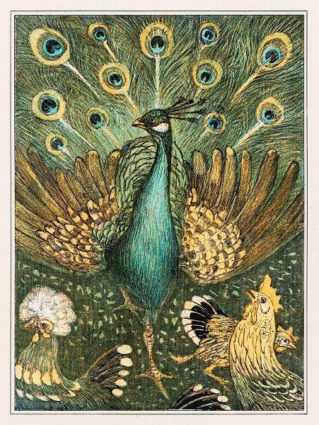 Peacock with chickens