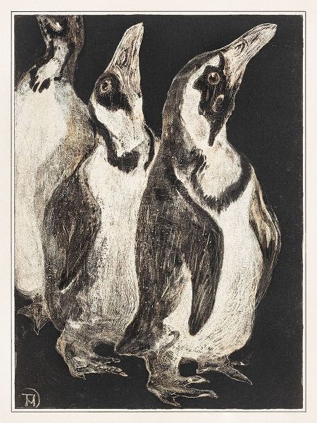 Three penguins