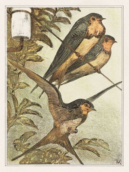 Three swallows
