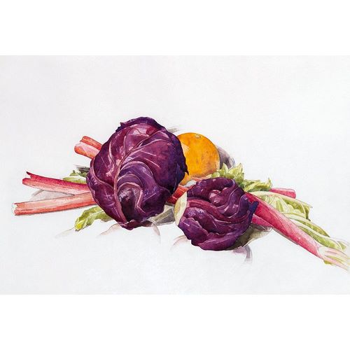 Red Cabbages-Rhubarb and Orange