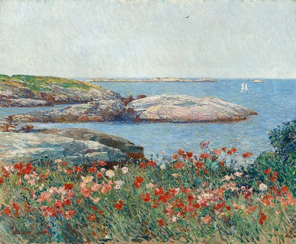 Poppies-Isles of Shoals