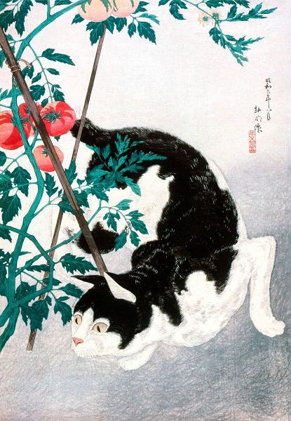 Takahashi, Hiroaki 아티스트의 Cat with Tomato Plant작품입니다.