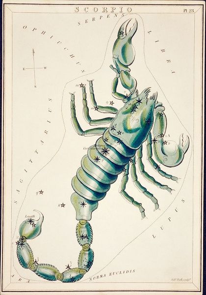 Library of Congress 아티스트의 Astronomical chart illustration of the Scorpio 작품