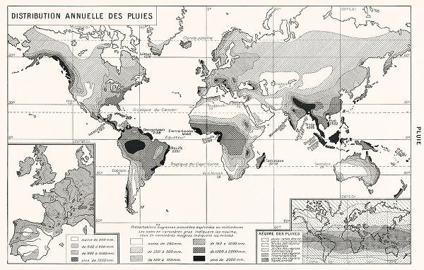 Vintage Maps 아티스트의 Annual Rainfall Distribution 작품