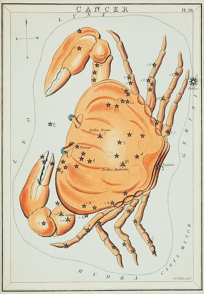 Hall, Sidney 아티스트의 Astronomical chart illustration of the cancer zodiac 작품