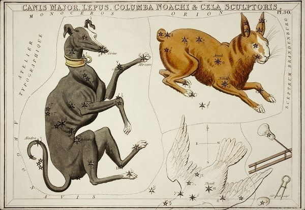 Hall, Sidney 아티스트의 Astronomical chart illustration of the Canis Major-Lepus-Columba Noachi and the Cela Sculptoris 작품