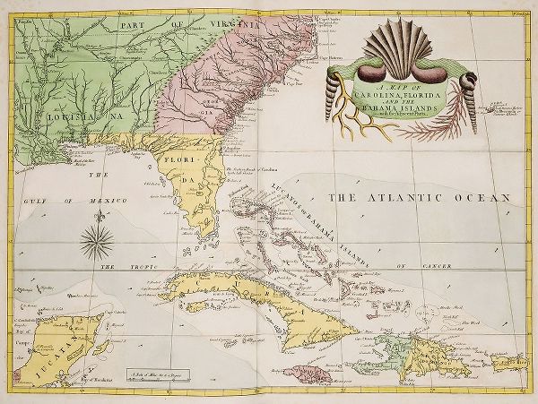 Catesby, Mark 아티스트의 A map of Carolina-Florida and the Bahama Islands 1754 작품