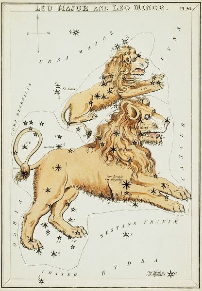 Hall, Sidney 아티스트의 Astronomical chart illustration of the Leo Major and the Leo Minor 작품