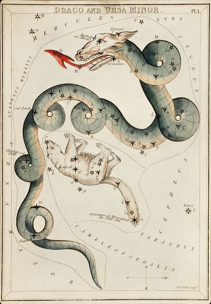 Hall, Sidney 아티스트의 Astronomical chart illustration of the Draco and the Ursa Minor 작품