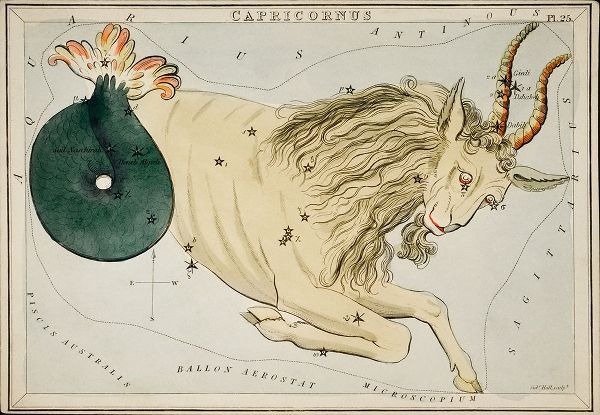 Hall, Sidney 아티스트의 Astronomical chart illustration of the Zodiac Capricornus 작품