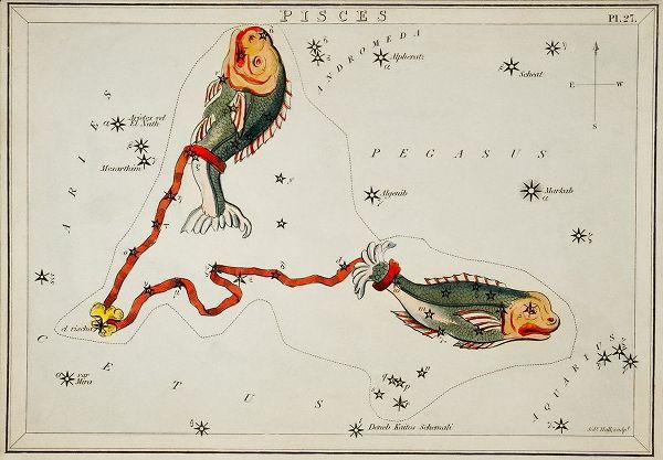 Hall, Sidney 아티스트의 Astronomical chart illustration of the Pisces 작품