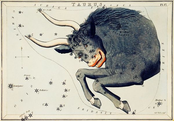 Hall, Sidney 아티스트의 Astronomical chart illustration of the Taurus 작품