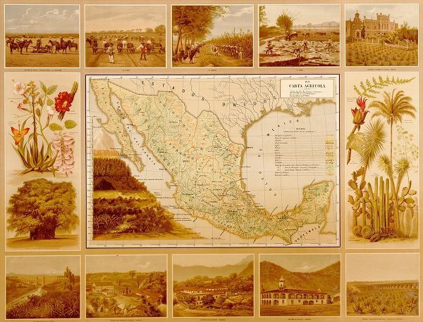 Vintage Maps 아티스트의 Agricultural Map of Mexico 작품