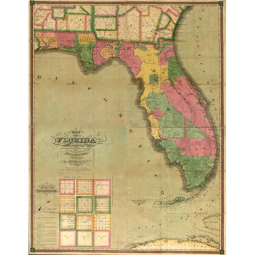 Vintage Maps 아티스트의 Florida 작품