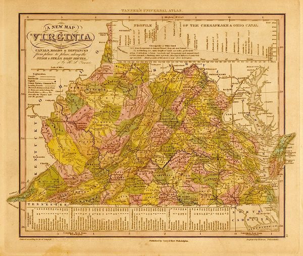 Vintage Maps 아티스트의 Virginia 1844 작품