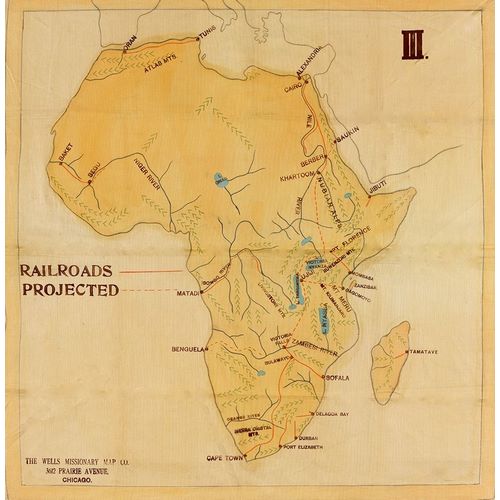 Vintage Maps 아티스트의 Railroad Map of Africa 1908 Projected Routes 작품