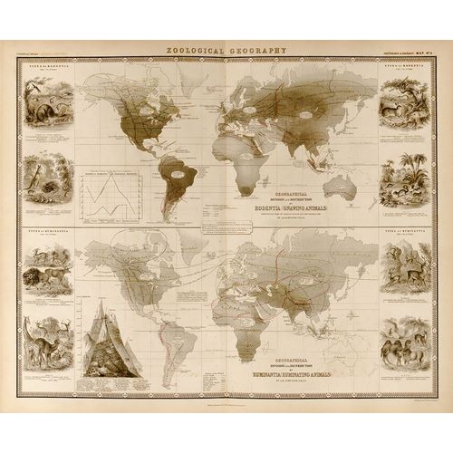Vintage Maps 아티스트의 Zoological Geography Ruminants 작품