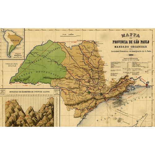 Vintage Maps 아티스트의 Sao Paolo Brazil 1886 작품