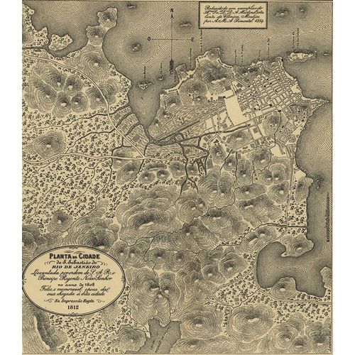 Vintage Maps 아티스트의 Rio De Janiero 1911 작품