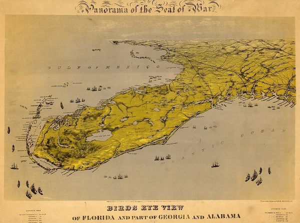 Vintage Maps 아티스트의 Birds eye view of Florida and part of Georgia and Alabama 1861 작품