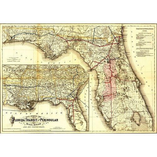 Vintage Maps 아티스트의 Florida Transit and Peninsula Rail Road 1882 작품