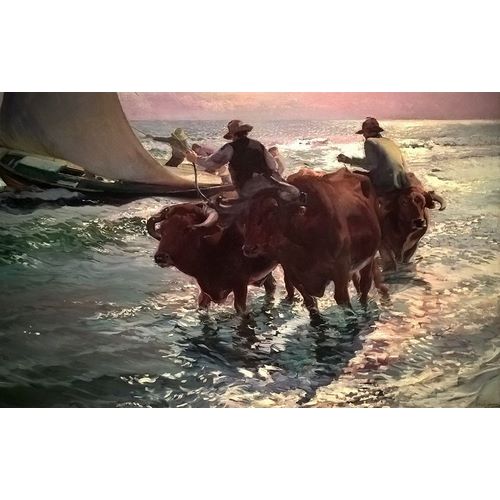 Sorolla, Joaquin 아티스트의 Oxen in the Sea 작품