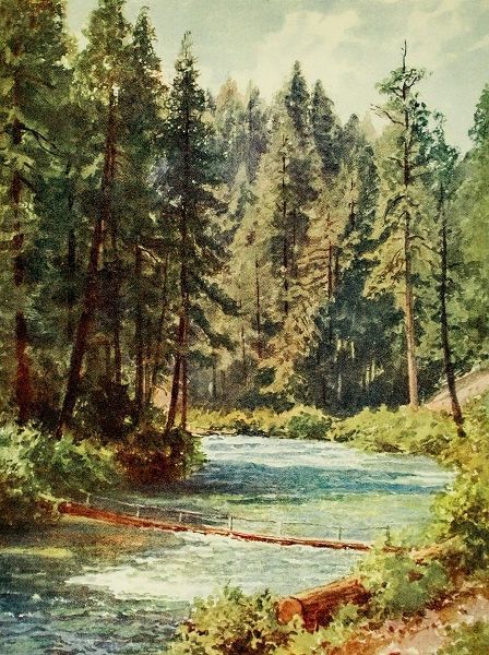 Palmer, Sutton 아티스트의 McCloud River-Sacramento Valley-California 1914 작품