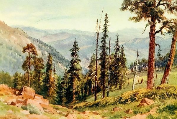 Palmer, Sutton 아티스트의 Redwoods of Great Twin Valleys-California 1914 작품