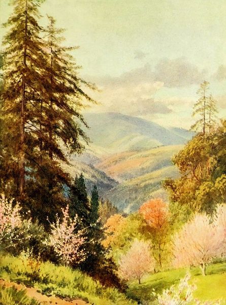 Palmer, Sutton 아티스트의 Santa Cruz mountain-the coast range-California 1914 작품