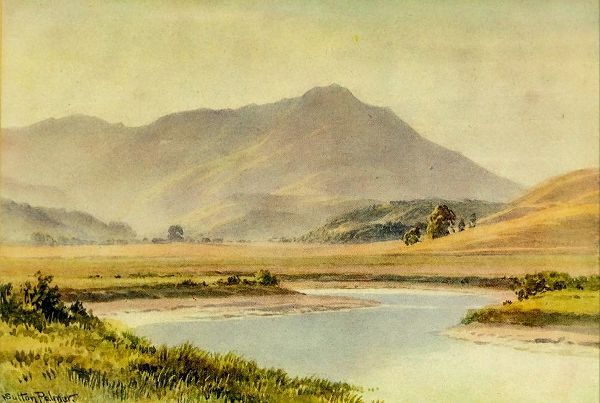 Palmer, Sutton 아티스트의 Tamalpias-California 1914 작품