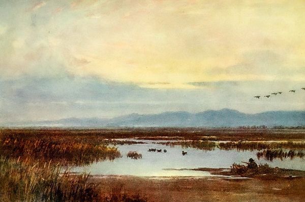 Palmer, Sutton 아티스트의 Waiting for duck-Los Banos-California 1914 작품