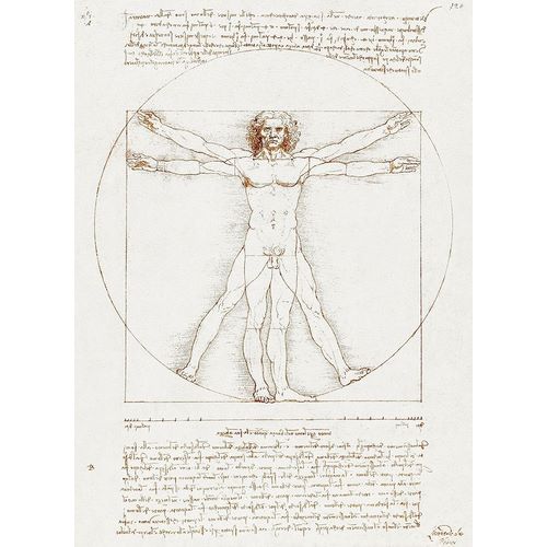 da Vinci, Leonardo 아티스트의 Vitruvian Man 작품
