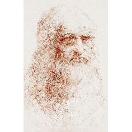 da Vinci, Leonardo 아티스트의 Self-portrait 1512 작품