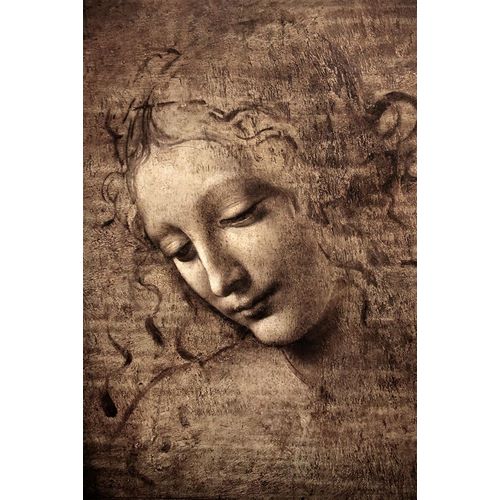 da Vinci, Leonardo 아티스트의 La Scapigliata 작품