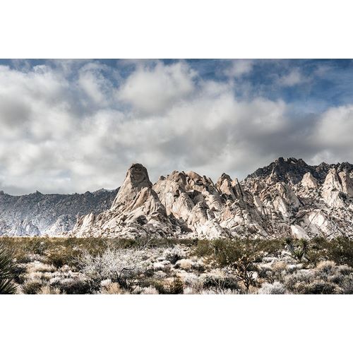 Highsmith, Carol 작가의 Providence Mountains Mojave National Preserve California 작품