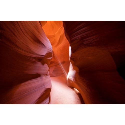 Highsmith, Carol 작가의 Slot Canyons Gently carved from the Navajo Sandstone-Arizona 작품