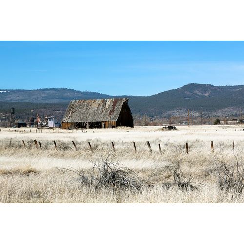Highsmith, Carol 작가의 An Old Hay Barn-Susanville-Lassen County-California 작품