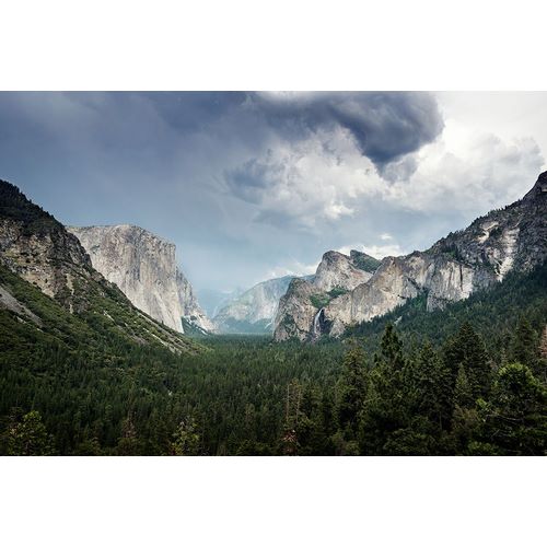 Highsmith, Carol 작가의 Yosemite National Park-California 작품